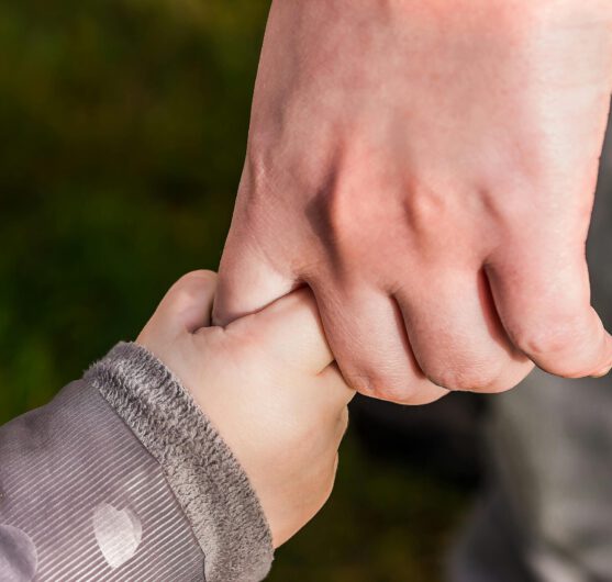 pexels-photo-236164-236164 Child Holding Hand of Another Person
