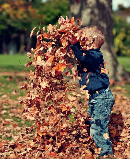 pexels-photo-36965 Boy Playing With Fall Leaves Outdoors